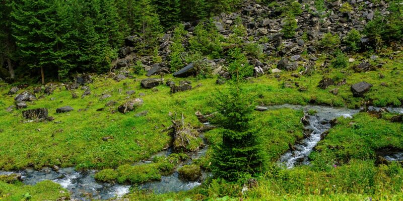 North Cascades National Park Washington